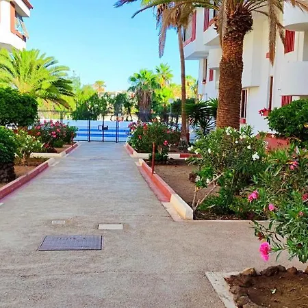 Playa De Americas 600mt From The Internet Free * 美洲海滩