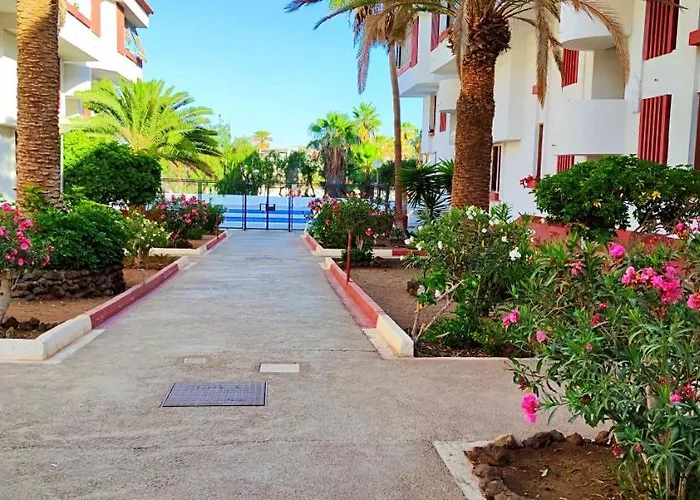 Playa De Americas 600mt From The Internet Free * بلايا ذي لاس أميريكاس