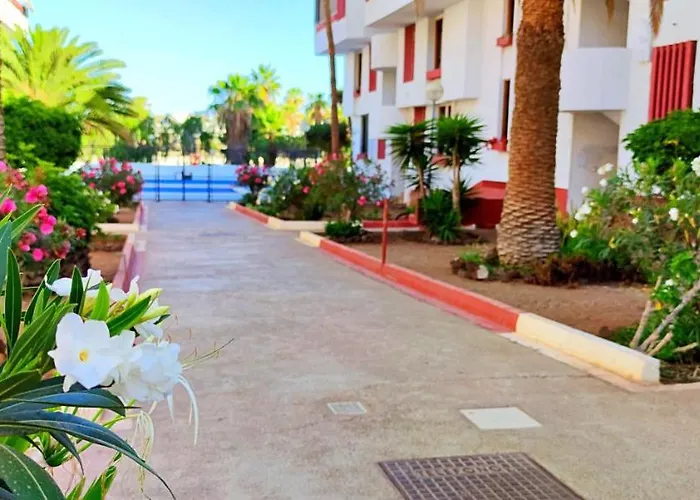 Playa De Americas 600mt From The Internet Free 아파트 플라야데라스아메리카스